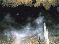 Picture for song 'Goodbye' by artist 'Southern Limits'