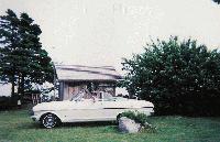 Picture for song 'the way it goes' by artist 'South Shore Records'