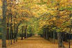 Picture for song 'Jueves Primero' by artist 'Soviet'