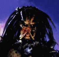 Picture for song 'Jungle predator' by artist 'SPACEBUM'