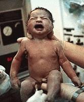 Picture for song '10 minutes old' by artist 'Spacedive'