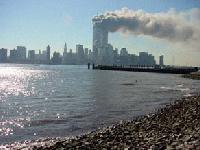 Picture for song 'The Innocent' by artist 'Spacedive'