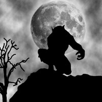 Picture for song 'Werewolf' by artist 'Spacewolf Project'