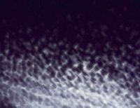 Picture for song 'Windless Air' by artist 'Spagirus'