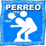 Picture for song 'Reggaeton (tiraera)' by artist 'spanishfly'
