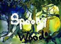 Picture for song 'Spooky Woods' by artist 'Sparkles Creationz'