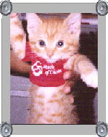 Picture for song 'Techno Beat' by artist 'Sparkles Creationz'