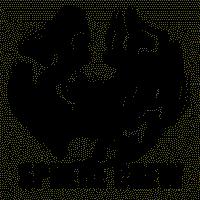 Picture for song 'snakebit' by artist 'sphere crew'