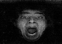 Picture for song 'Immaculate Array' by artist 'Sphinx Pilot'