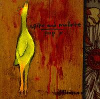 Picture for song 'The Boy In The Garden' by artist 'Spike and Mallets'