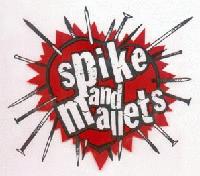 Picture for song 'the Fun' by artist 'Spike and Mallets'
