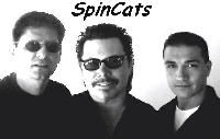 Picture for song 'Sold My Soul' by artist 'SpinCats'