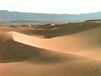 Picture for song 'Desert Trance/Down on Dune' by artist 'Spiral Starflame (us)'