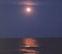 Picture for song 'Moonrise Reflection' by artist 'Spiral Starflame (us)'