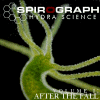 Picture for song 'Still Here (Starting Over)' by artist 'Spirograph'