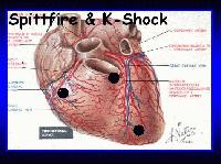 Picture for song 'Ademontnemend ft. K-Shock' by artist 'Spittfire'