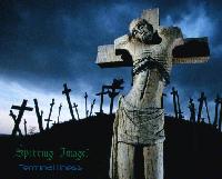 Picture for song 'My Cause' by artist 'Spitting Images of Christ'
