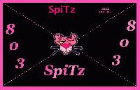 Picture for song 'Wuts goin on REMIX' by artist 'SpiTz The Dyke'