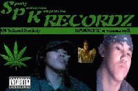 Picture for song 'all i need' by artist 'SPKrecordz'