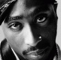 Picture for song 'Realist Killaz' by artist 'Spliff Daddy'