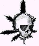 Picture for song 'Diss~abled retard' by artist 'Spliffent'