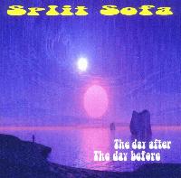 Picture for song 'Never Be Free' by artist 'Split Sofa'