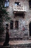 Picture for song 'This World' by artist 'Spnj'