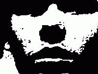 Picture for song 'An Incident at the Finns' by artist 'spoken volumes'