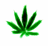 Picture for song 'HIGH FREESTYLE FT STC' by artist 'SpoonAkaDSSB'