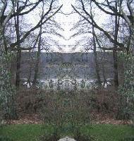 Picture for song 'The ace of spades' by artist 'spot (berlin)'