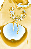 Picture for song 'Hsin' by artist 'Spot Wade'