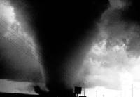 Picture for song 'DAMAGED' by artist 'SqrachMasda DJsex'