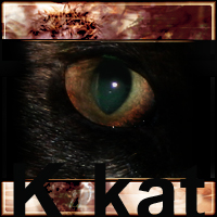 Picture for song 'Kitty Kat' by artist 'Square 1'