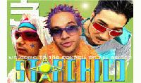Picture for song 'FEEL THE VIBE' by artist 'STAAARCHILD'