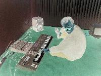 Picture for song 'soul movement' by artist 'Stability'