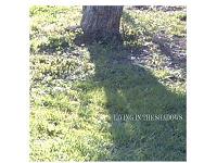 Picture for song 'Living In The Shadows' by artist 'Stacy Puckett'