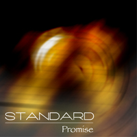 Picture for song 'Means' by artist 'Standard'