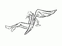 Picture for song 'Palisades' by artist 'Stasera'