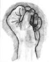 Picture for song '**SWing Nlgga!!!' by artist 'Static Elec Records'