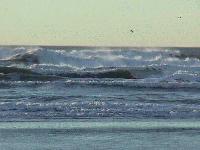 Picture for song 'What You Want' by artist 'Stealing Scarlett'