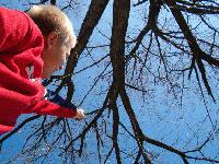 Picture for song 'TODAY' by artist 'STEEL CHAMELEON'