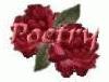 Picture for song 'Street Poetry' by artist 'steeviejaytrackz'