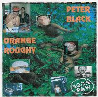 Picture for song 'Hold On Rmx' by artist 'StepDaddyJ'