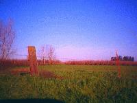 Picture for song 'Carne Asada Cowboy' by artist 'StereoCarrot'