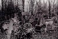 Picture for song 'Contact' by artist 'Stereonarcotic'