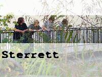 Picture for song 'Love Song' by artist 'Sterrett'