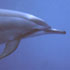 Picture for song 'Ocean Longing' by artist 'SteveBryson'
