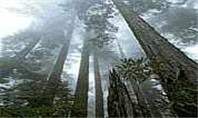 Picture for song 'Creation' by artist 'Steve W Smith'