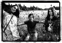 Picture for song 'Interstate Love Song (Stone Temple Pilots)' by artist 'stg712'