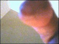 Picture for song 'Playing in Pain' by artist 'Stiff Dick'